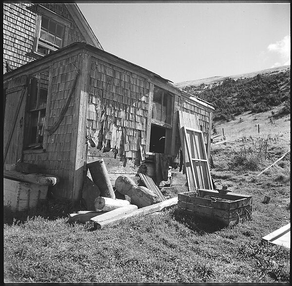[36 Views of Fence and Path Leading to Robert Frank's House, Nova Scotia], Walker Evans (American, St. Louis, Missouri 1903–1975 New Haven, Connecticut), Film negative