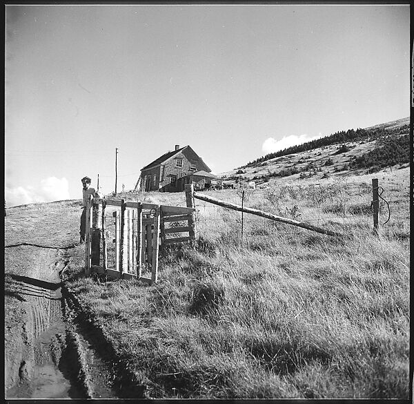 [36 Views of Fence and Path Leading to Robert Frank's House, Nova Scotia], Walker Evans (American, St. Louis, Missouri 1903–1975 New Haven, Connecticut), Film negative