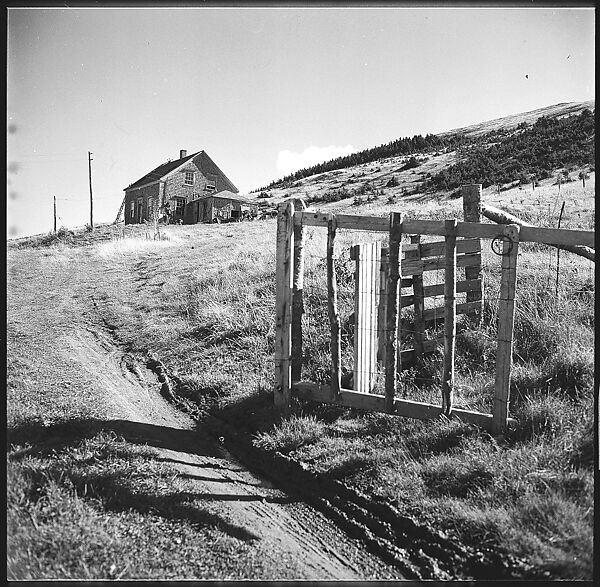 [36 Views of Fence and Path Leading to Robert Frank's House, Nova Scotia], Walker Evans (American, St. Louis, Missouri 1903–1975 New Haven, Connecticut), Film negative