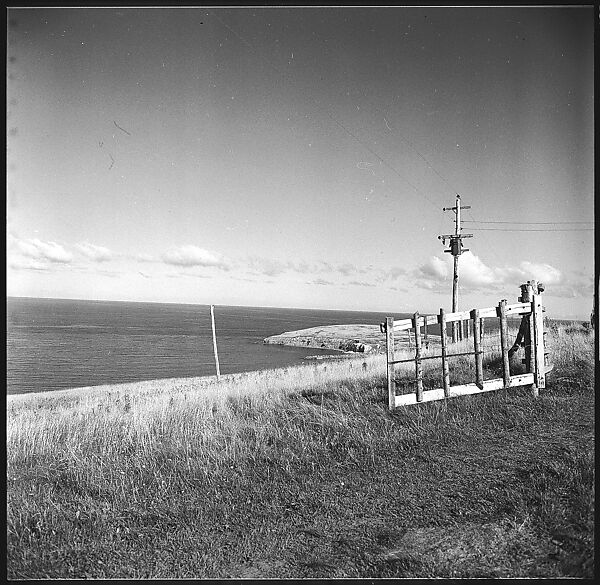 [36 Views of Fence and Path Leading to Robert Frank's House, Nova Scotia], Walker Evans (American, St. Louis, Missouri 1903–1975 New Haven, Connecticut), Film negative