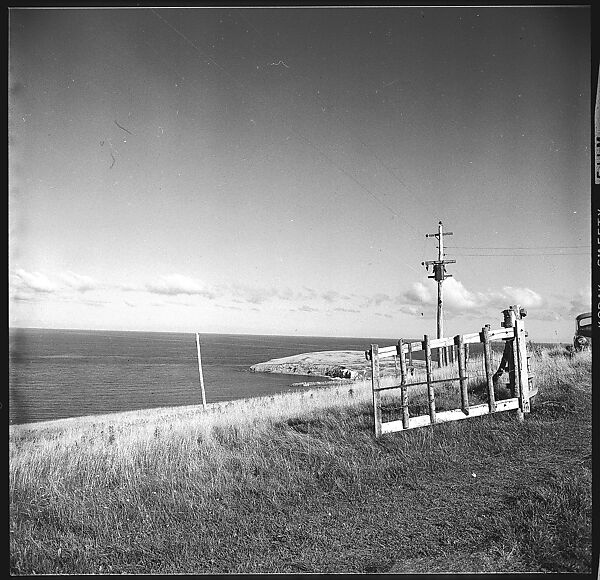 [36 Views of Fence and Path Leading to Robert Frank's House, Nova Scotia], Walker Evans (American, St. Louis, Missouri 1903–1975 New Haven, Connecticut), Film negative