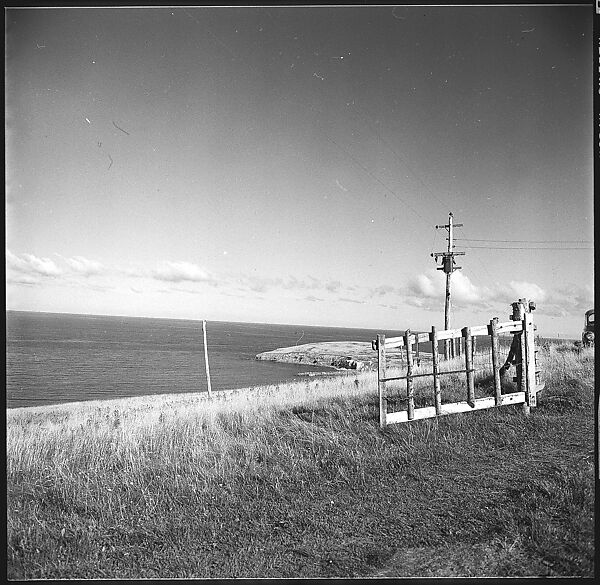 [36 Views of Fence and Path Leading to Robert Frank's House, Nova Scotia], Walker Evans (American, St. Louis, Missouri 1903–1975 New Haven, Connecticut), Film negative