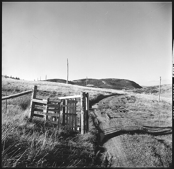[36 Views of Fence and Path Leading to Robert Frank's House, Nova Scotia], Walker Evans (American, St. Louis, Missouri 1903–1975 New Haven, Connecticut), Film negative