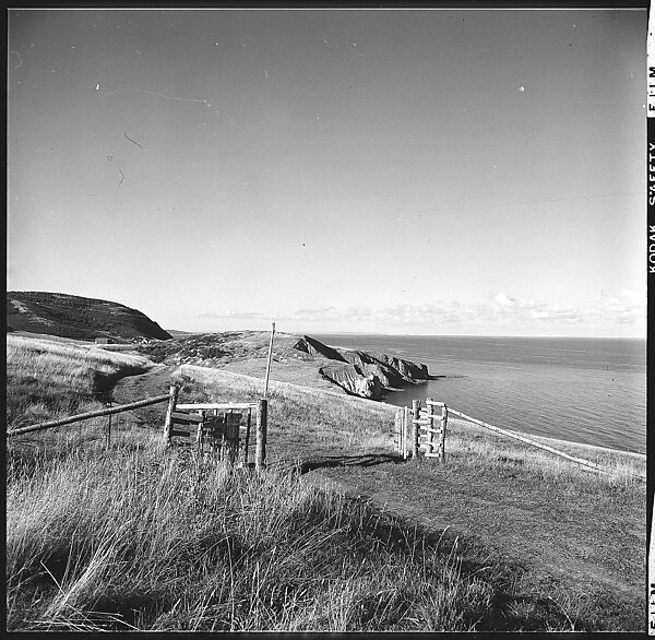 [36 Views of Fence and Path Leading to Robert Frank's House, Nova Scotia], Walker Evans (American, St. Louis, Missouri 1903–1975 New Haven, Connecticut), Film negative