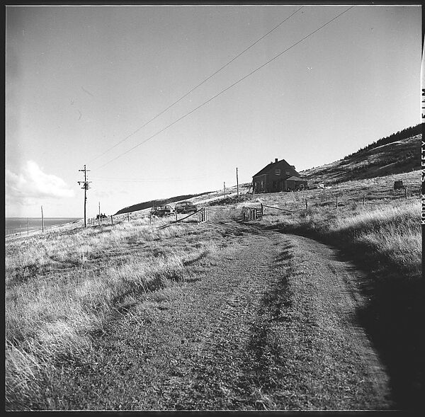 [36 Views of Fence and Path Leading to Robert Frank's House, Nova Scotia], Walker Evans (American, St. Louis, Missouri 1903–1975 New Haven, Connecticut), Film negative