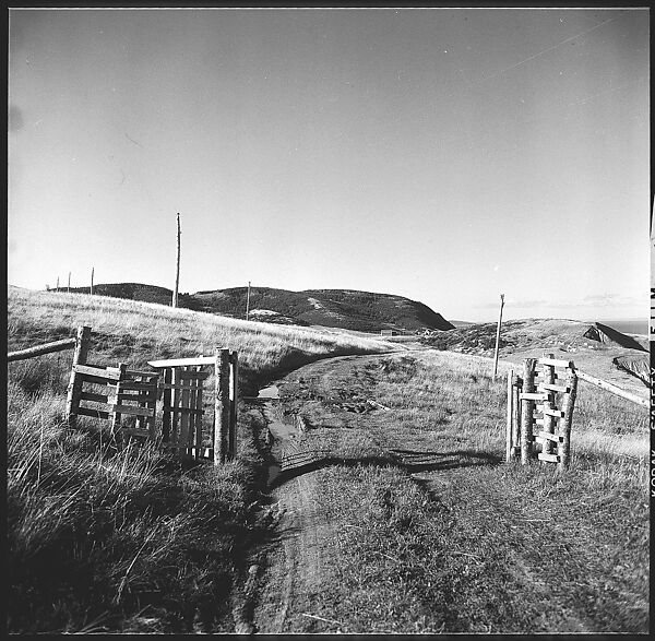 [36 Views of Fence and Path Leading to Robert Frank's House, Nova Scotia], Walker Evans (American, St. Louis, Missouri 1903–1975 New Haven, Connecticut), Film negative