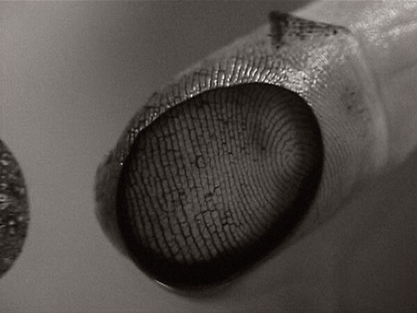 abc, Ann Hamilton (American, born 1956), Single-channel digital video, transferred from Beta tape, black-and-white, silent, 13 min.