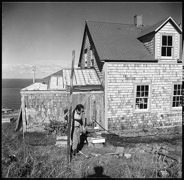 [231 Interior and Exterior Views of Robert Frank's House and Portraits of Robert Frank and June Leaf, Nova Scotia; also Interior Studies of the Heliker House, Cranberry Island, Maine], Walker Evans (American, St. Louis, Missouri 1903–1975 New Haven, Connecticut), Film negative