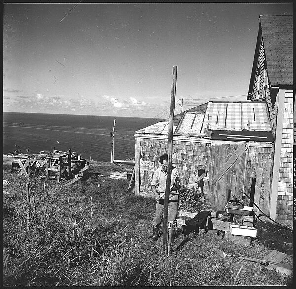 [231 Interior and Exterior Views of Robert Frank's House and Portraits of Robert Frank and June Leaf, Nova Scotia; also Interior Studies of the Heliker House, Cranberry Island, Maine], Walker Evans (American, St. Louis, Missouri 1903–1975 New Haven, Connecticut), Film negative