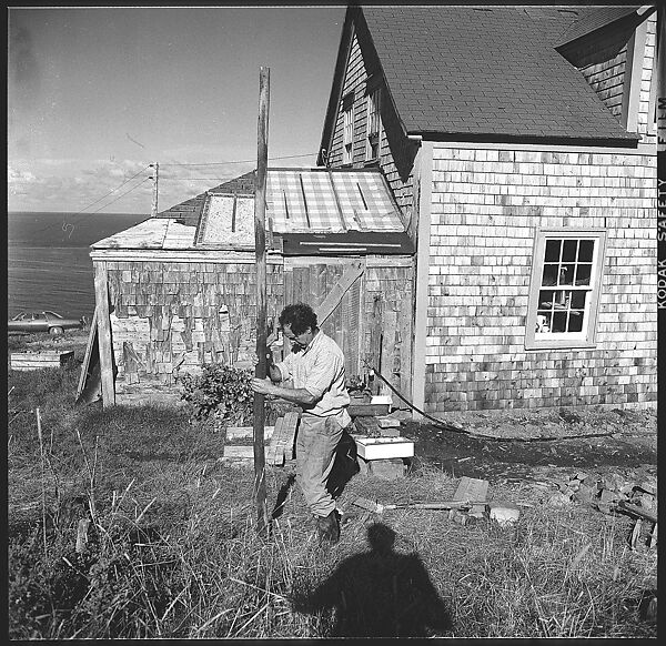 [231 Interior and Exterior Views of Robert Frank's House and Portraits of Robert Frank and June Leaf, Nova Scotia; also Interior Studies of the Heliker House, Cranberry Island, Maine], Walker Evans (American, St. Louis, Missouri 1903–1975 New Haven, Connecticut), Film negative