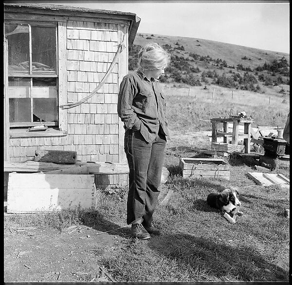 [231 Interior and Exterior Views of Robert Frank's House and Portraits of Robert Frank and June Leaf, Nova Scotia; also Interior Studies of the Heliker House, Cranberry Island, Maine], Walker Evans (American, St. Louis, Missouri 1903–1975 New Haven, Connecticut), Film negative