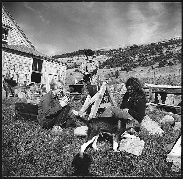 [231 Interior and Exterior Views of Robert Frank's House and Portraits of Robert Frank and June Leaf, Nova Scotia; also Interior Studies of the Heliker House, Cranberry Island, Maine], Walker Evans (American, St. Louis, Missouri 1903–1975 New Haven, Connecticut), Film negative