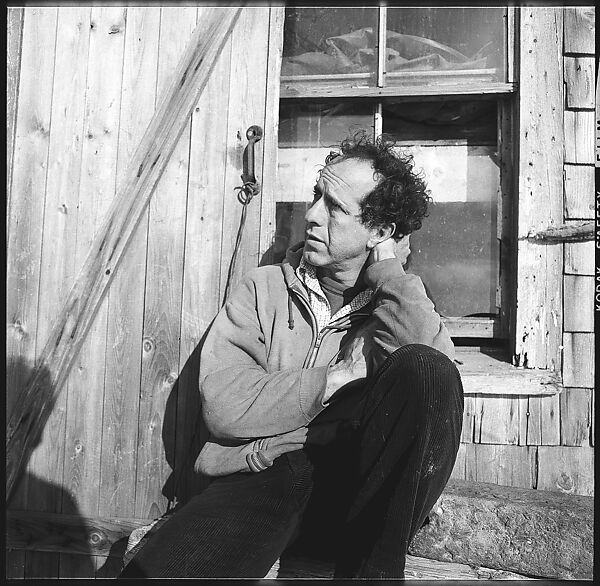 [231 Interior and Exterior Views of Robert Frank's House and Portraits of Robert Frank and June Leaf, Nova Scotia; also Interior Studies of the Heliker House, Cranberry Island, Maine], Walker Evans (American, St. Louis, Missouri 1903–1975 New Haven, Connecticut), Film negative