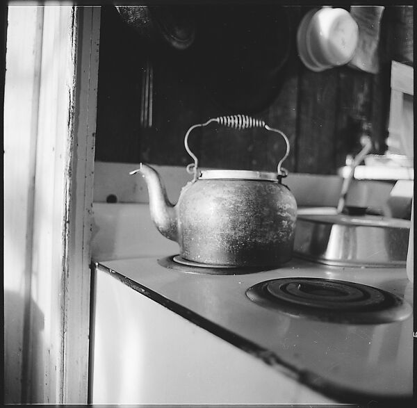 [231 Interior and Exterior Views of Robert Frank's House and Portraits of Robert Frank and June Leaf, Nova Scotia; also Interior Studies of the Heliker House, Cranberry Island, Maine], Walker Evans (American, St. Louis, Missouri 1903–1975 New Haven, Connecticut), Film negative