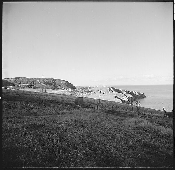 [231 Interior and Exterior Views of Robert Frank's House and Portraits of Robert Frank and June Leaf, Nova Scotia; also Interior Studies of the Heliker House, Cranberry Island, Maine], Walker Evans (American, St. Louis, Missouri 1903–1975 New Haven, Connecticut), Film negative