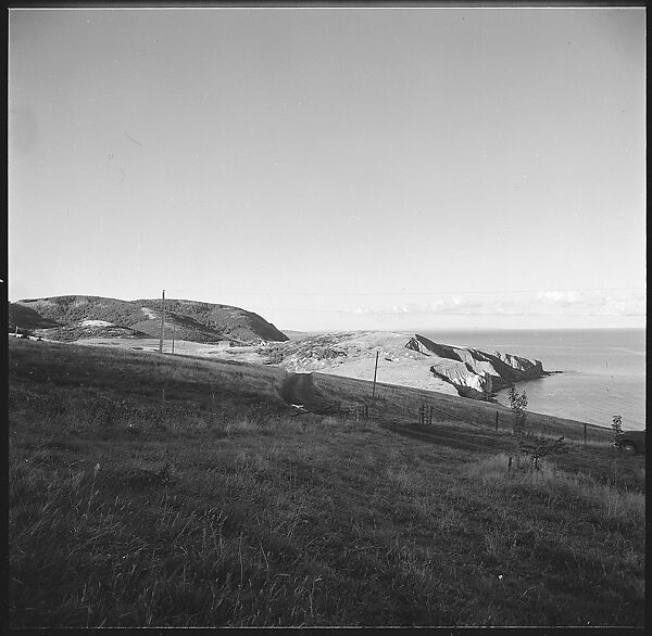 [231 Interior and Exterior Views of Robert Frank's House and Portraits of Robert Frank and June Leaf, Nova Scotia; also Interior Studies of the Heliker House, Cranberry Island, Maine], Walker Evans (American, St. Louis, Missouri 1903–1975 New Haven, Connecticut), Film negative