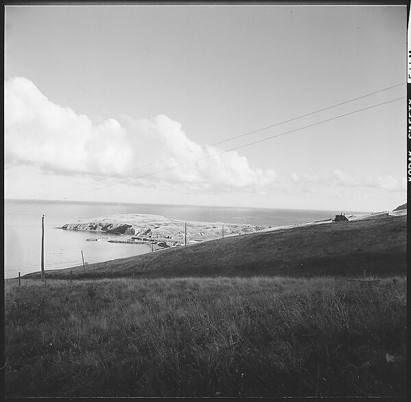 [231 Interior and Exterior Views of Robert Frank's House and Portraits of Robert Frank and June Leaf, Nova Scotia; also Interior Studies of the Heliker House, Cranberry Island, Maine], Walker Evans (American, St. Louis, Missouri 1903–1975 New Haven, Connecticut), Film negative