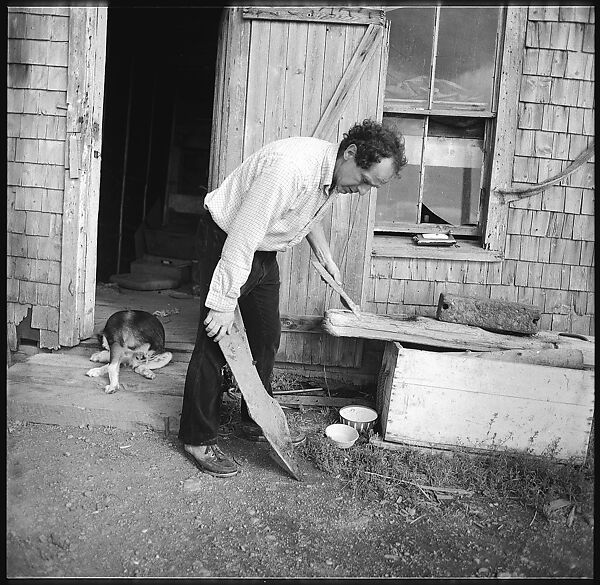 [231 Interior and Exterior Views of Robert Frank's House and Portraits of Robert Frank and June Leaf, Nova Scotia; also Interior Studies of the Heliker House, Cranberry Island, Maine], Walker Evans (American, St. Louis, Missouri 1903–1975 New Haven, Connecticut), Film negative