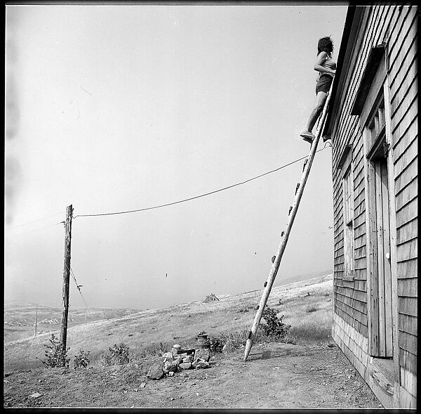 [231 Interior and Exterior Views of Robert Frank's House and Portraits of Robert Frank and June Leaf, Nova Scotia; also Interior Studies of the Heliker House, Cranberry Island, Maine], Walker Evans (American, St. Louis, Missouri 1903–1975 New Haven, Connecticut), Film negative