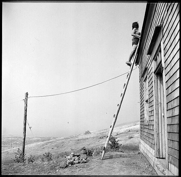 [231 Interior and Exterior Views of Robert Frank's House and Portraits of Robert Frank and June Leaf, Nova Scotia; also Interior Studies of the Heliker House, Cranberry Island, Maine], Walker Evans (American, St. Louis, Missouri 1903–1975 New Haven, Connecticut), Film negative