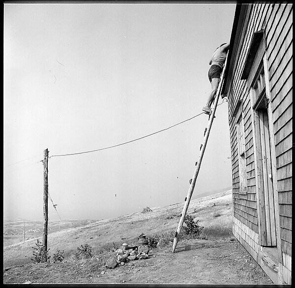 [231 Interior and Exterior Views of Robert Frank's House and Portraits of Robert Frank and June Leaf, Nova Scotia; also Interior Studies of the Heliker House, Cranberry Island, Maine], Walker Evans (American, St. Louis, Missouri 1903–1975 New Haven, Connecticut), Film negative