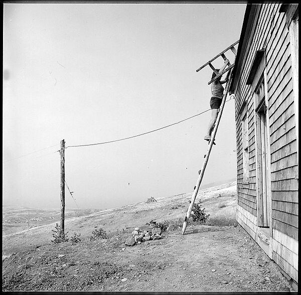 [231 Interior and Exterior Views of Robert Frank's House and Portraits of Robert Frank and June Leaf, Nova Scotia; also Interior Studies of the Heliker House, Cranberry Island, Maine], Walker Evans (American, St. Louis, Missouri 1903–1975 New Haven, Connecticut), Film negative