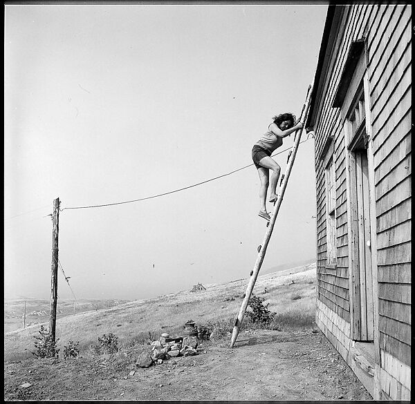 [231 Interior and Exterior Views of Robert Frank's House and Portraits of Robert Frank and June Leaf, Nova Scotia; also Interior Studies of the Heliker House, Cranberry Island, Maine], Walker Evans (American, St. Louis, Missouri 1903–1975 New Haven, Connecticut), Film negative