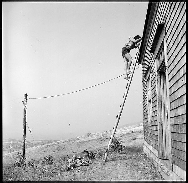 [231 Interior and Exterior Views of Robert Frank's House and Portraits of Robert Frank and June Leaf, Nova Scotia; also Interior Studies of the Heliker House, Cranberry Island, Maine], Walker Evans (American, St. Louis, Missouri 1903–1975 New Haven, Connecticut), Film negative