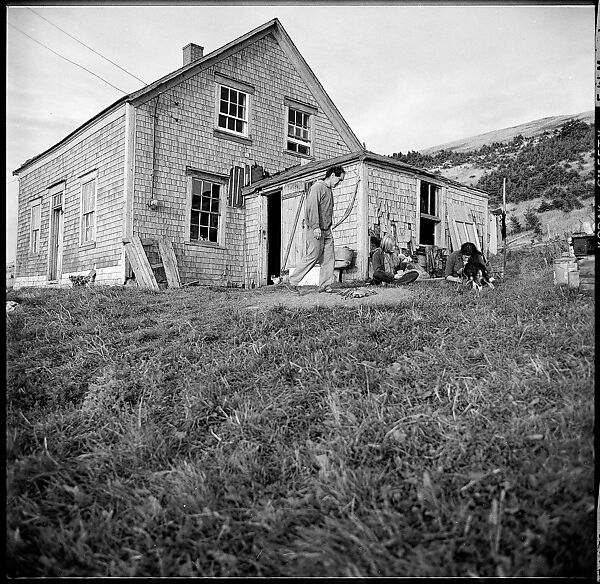 [231 Interior and Exterior Views of Robert Frank's House and Portraits of Robert Frank and June Leaf, Nova Scotia; also Interior Studies of the Heliker House, Cranberry Island, Maine], Walker Evans (American, St. Louis, Missouri 1903–1975 New Haven, Connecticut), Film negative