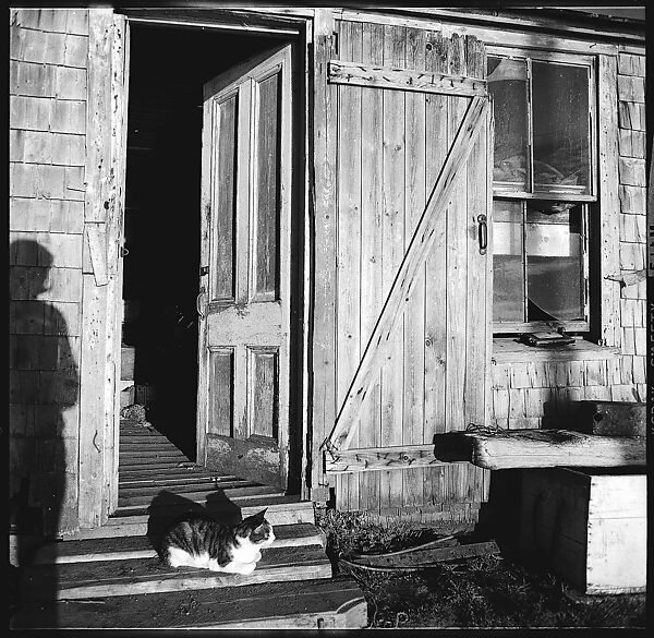 [12 Details of Door with Printed Cardboard, Nova Scotia], Walker Evans (American, St. Louis, Missouri 1903–1975 New Haven, Connecticut), Film negative
