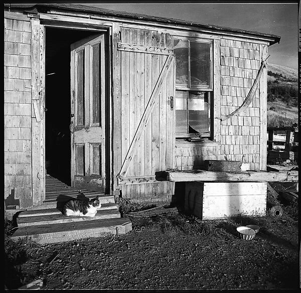 [12 Details of Door with Printed Cardboard, Nova Scotia], Walker Evans (American, St. Louis, Missouri 1903–1975 New Haven, Connecticut), Film negative