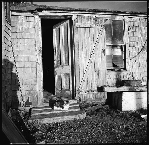 [12 Details of Door with Printed Cardboard, Nova Scotia], Walker Evans (American, St. Louis, Missouri 1903–1975 New Haven, Connecticut), Film negative