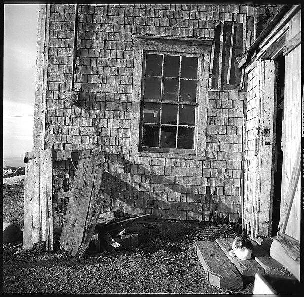 [12 Details of Door with Printed Cardboard, Nova Scotia], Walker Evans (American, St. Louis, Missouri 1903–1975 New Haven, Connecticut), Film negative