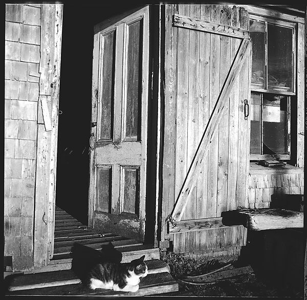 [12 Details of Door with Printed Cardboard, Nova Scotia], Walker Evans (American, St. Louis, Missouri 1903–1975 New Haven, Connecticut), Film negative