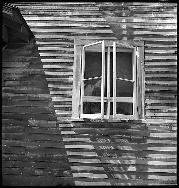 [22 Exterior Views of Houses in Old Mystic and Stonington, Connecticut, and Portraits of Sage Fuller], Walker Evans (American, St. Louis, Missouri 1903–1975 New Haven, Connecticut), Film negative
