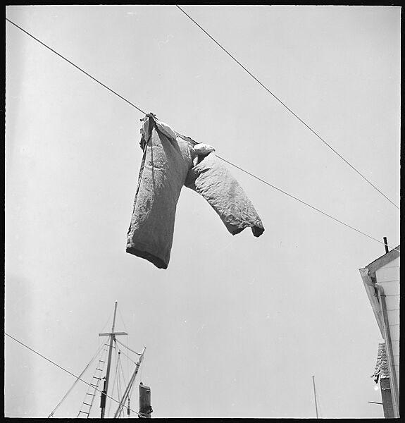 [6 Views of Stonington, Connecticut: Power Lines, Fence, Window], Walker Evans (American, St. Louis, Missouri 1903–1975 New Haven, Connecticut), Film negative