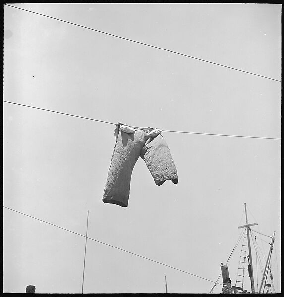 [6 Views of Stonington, Connecticut: Power Lines, Fence, Window], Walker Evans (American, St. Louis, Missouri 1903–1975 New Haven, Connecticut), Film negative
