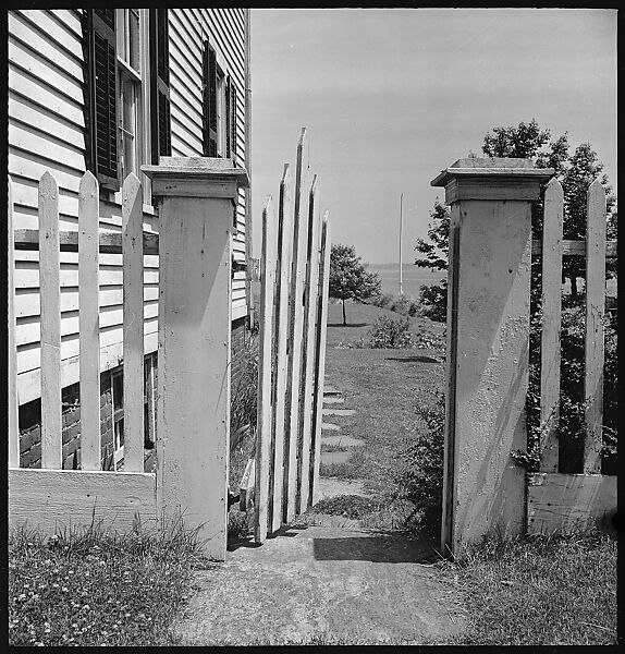 [6 Views of Stonington, Connecticut: Power Lines, Fence, Window], Walker Evans (American, St. Louis, Missouri 1903–1975 New Haven, Connecticut), Film negative