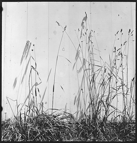 [49 Architectural Studies and Street Scenes, Stonington, Connecticut], Walker Evans (American, St. Louis, Missouri 1903–1975 New Haven, Connecticut), Film negative