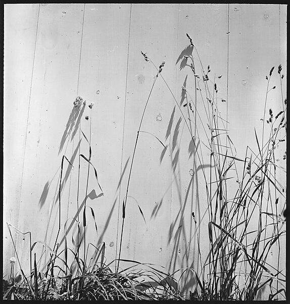 [49 Architectural Studies and Street Scenes, Stonington, Connecticut], Walker Evans (American, St. Louis, Missouri 1903–1975 New Haven, Connecticut), Film negative