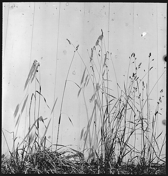 [49 Architectural Studies and Street Scenes, Stonington, Connecticut], Walker Evans (American, St. Louis, Missouri 1903–1975 New Haven, Connecticut), Film negative