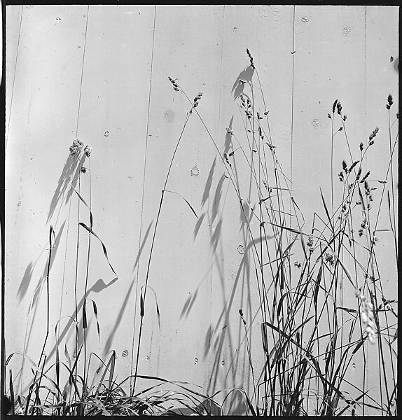 [49 Architectural Studies and Street Scenes, Stonington, Connecticut], Walker Evans (American, St. Louis, Missouri 1903–1975 New Haven, Connecticut), Film negative