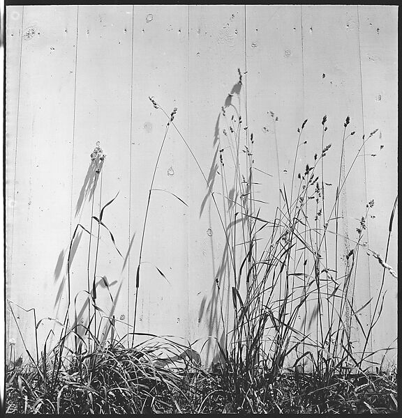 [49 Architectural Studies and Street Scenes, Stonington, Connecticut], Walker Evans (American, St. Louis, Missouri 1903–1975 New Haven, Connecticut), Film negative