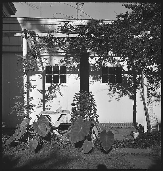[23 Exterior Views of the Fuller House, Stonington, Connecticut], Walker Evans (American, St. Louis, Missouri 1903–1975 New Haven, Connecticut), Film negative