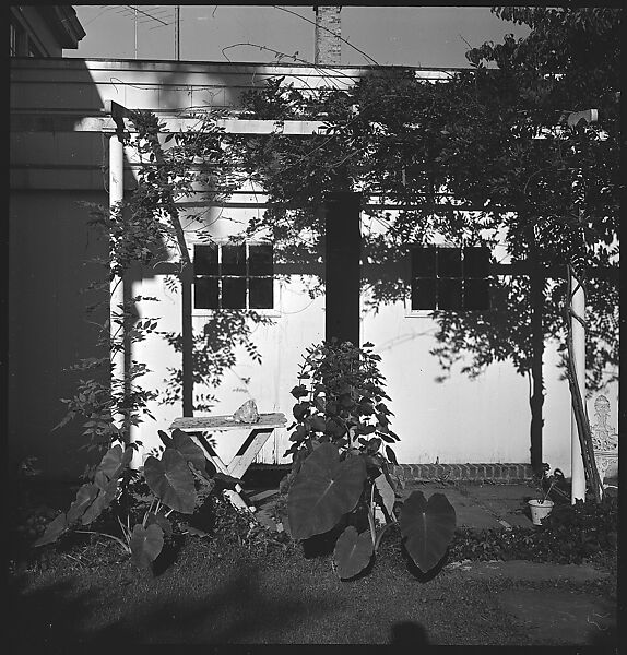 [23 Exterior Views of the Fuller House, Stonington, Connecticut], Walker Evans (American, St. Louis, Missouri 1903–1975 New Haven, Connecticut), Film negative