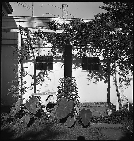 [23 Exterior Views of the Fuller House, Stonington, Connecticut], Walker Evans (American, St. Louis, Missouri 1903–1975 New Haven, Connecticut), Film negative