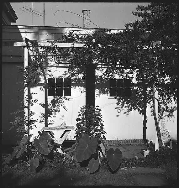 [23 Exterior Views of the Fuller House, Stonington, Connecticut], Walker Evans (American, St. Louis, Missouri 1903–1975 New Haven, Connecticut), Film negative