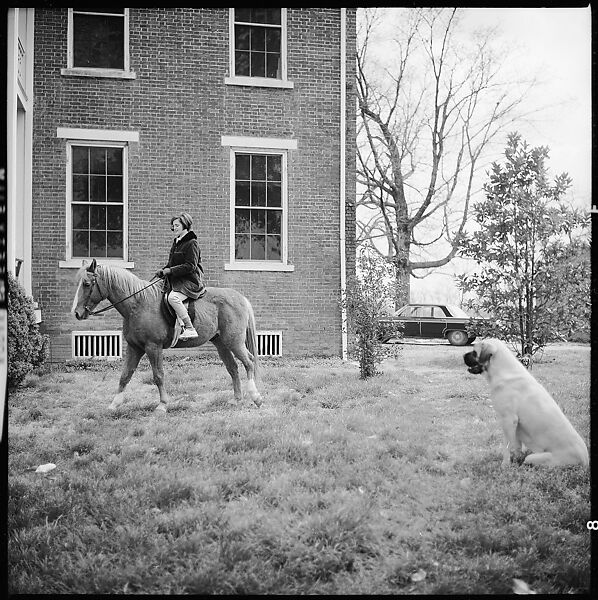 [179 Interior and Exterior Views of Mabry House, Allensville, Kentucky, and Portraits of Unidentified People Outdoors and on Horseback], Walker Evans (American, St. Louis, Missouri 1903–1975 New Haven, Connecticut), Film negative