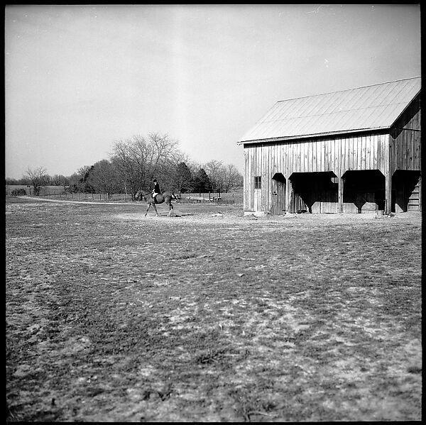 [179 Interior and Exterior Views of Mabry House, Allensville, Kentucky, and Portraits of Unidentified People Outdoors and on Horseback], Walker Evans (American, St. Louis, Missouri 1903–1975 New Haven, Connecticut), Film negative
