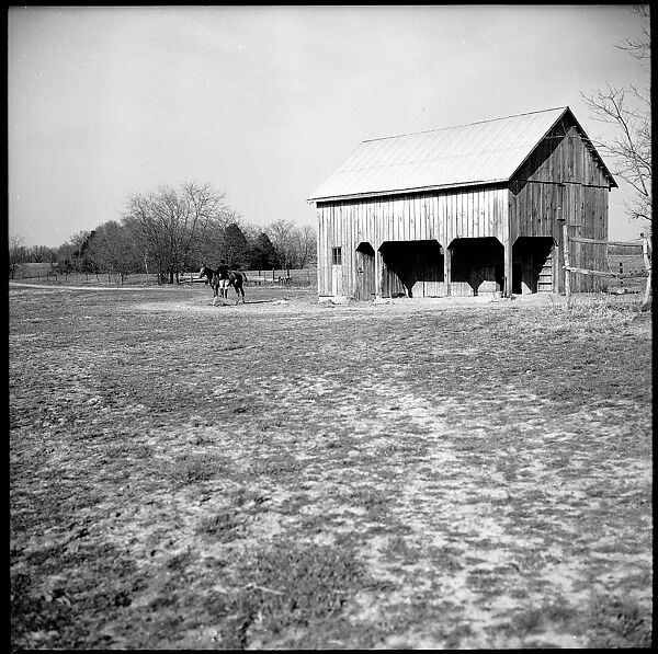 [179 Interior and Exterior Views of Mabry House, Allensville, Kentucky, and Portraits of Unidentified People Outdoors and on Horseback], Walker Evans (American, St. Louis, Missouri 1903–1975 New Haven, Connecticut), Film negative